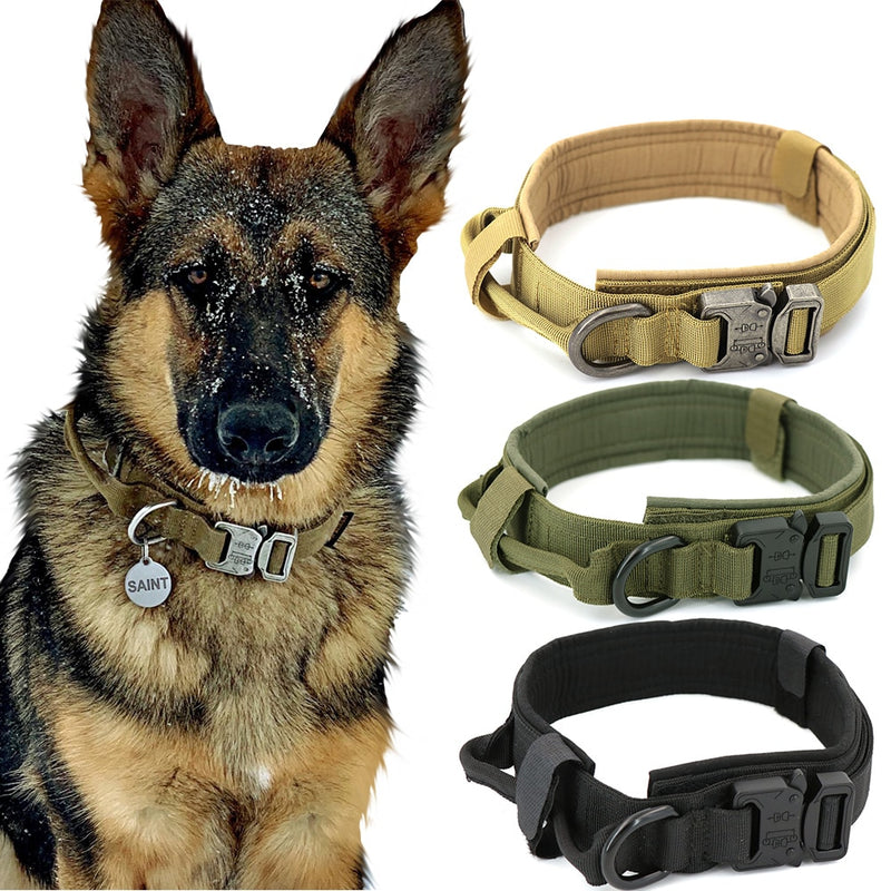 Durable Dog Collar