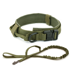 Durable Dog Collar