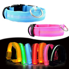 LED Collar