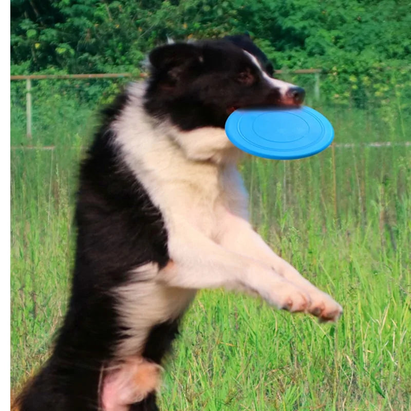 Non-Slip Dog Flying Disc