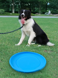 Non-Slip Dog Flying Disc