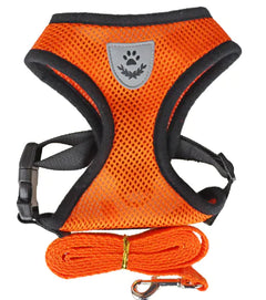 Pets Harness Vest